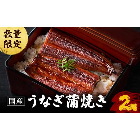 ふるさと納税 うなぎ 数量限定 国産 蒲焼き 2尾 老舗うなぎ専門店 徳右