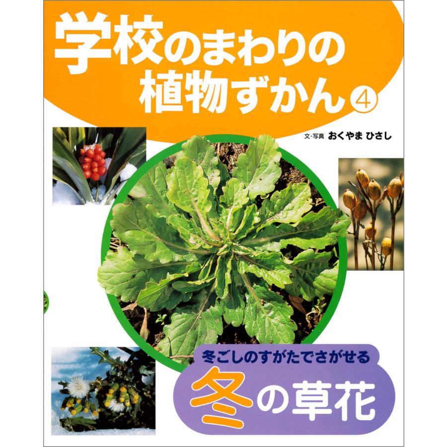 学校のまわりの植物ずかん