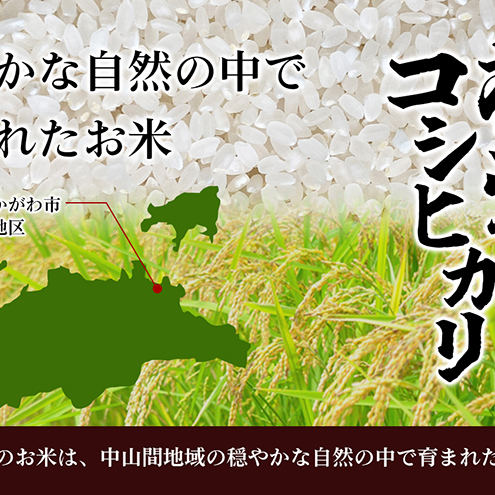 令和5年産　福栄のコシヒカリ2kg（精米）