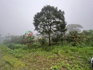 大溪風景區農地 合法資材室 有水有電｜桃園市大溪區福安段