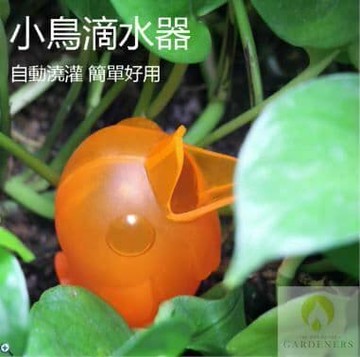 小鳥自動滴水器3入