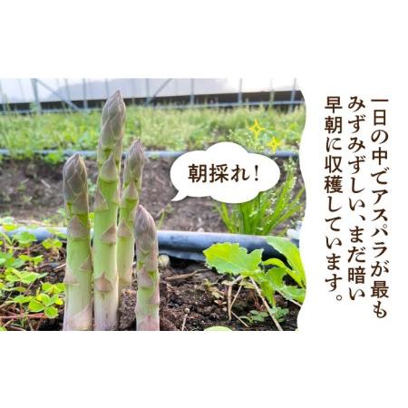 ふるさと納税 栽培期間中農薬不使用！　朝採れのアスパラガス 1kg 糸島市   高橋農園 [ANM001] 福岡県糸島市