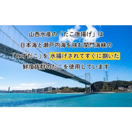 ふるさと納税 たこ 唐揚げ セット 600g 小分け 蛸 カラアゲ つまみ おかず 下関 山口 たこの唐揚 唐揚げ ミズダコ唐揚げ 水ダコ唐揚げ たこ唐.. 山口県下関市