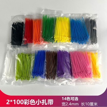 台灣出貨 小號尼龍紮帶 2x100 彩色塑料束線帶 2.5mm 寬 10cm長 藍紅黃綠橙黑白實用 束線帶 自鎖式束線帶