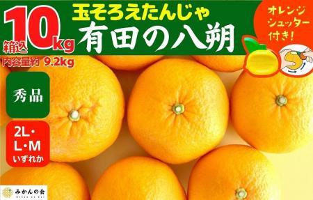 八朔 (はっさく) 秀品 玉ぞろい 箱込 10kg(内容量約 9.2kg) 2L L Mサイズのいずれか 和歌山県産  産地直送