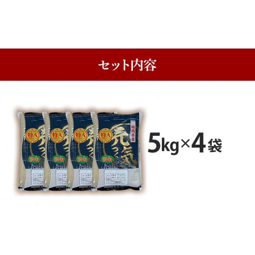 ふるさと納税 福岡県 田川市 新米 令和5年産　福岡県産ブランド米「元気つくし」白米20kg