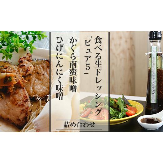 ふるさと納税 新潟県 長岡市 57-04食べる生ドレッシング「ピュア５」、かぐら南蛮味噌、ひげにんにく味噌詰め合わせ