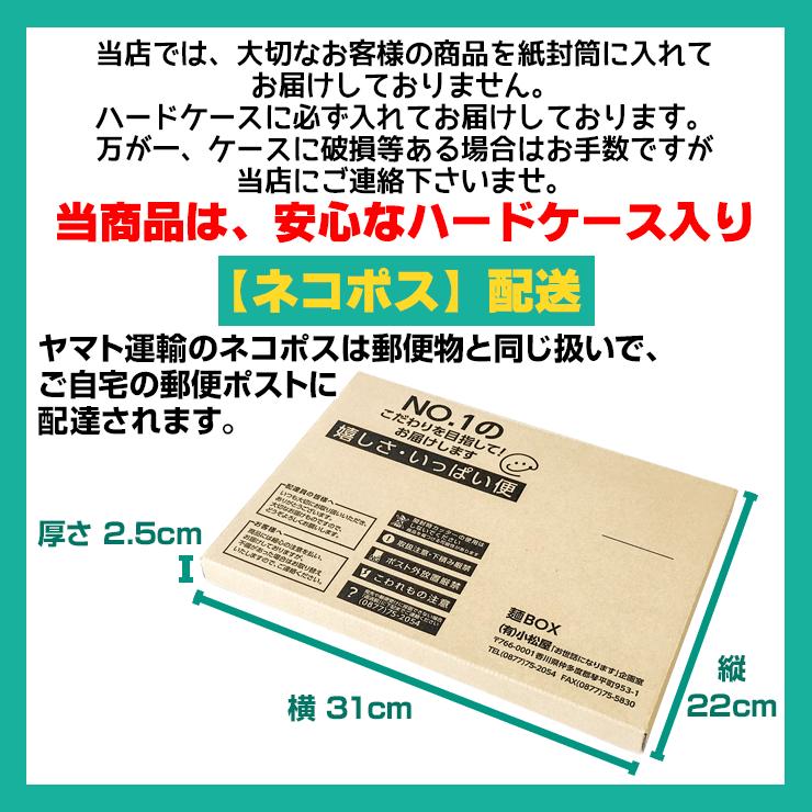 純生 讃岐 うどん ドーンと6食 便利な個包装 300g×2袋 600g 醤油 つゆ付 送料無料   得トクセール 特産品 訳あり