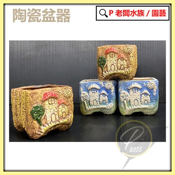P老闆園藝~陶瓷盆 花盆 盆栽 植栽 多肉植物 室內培栽 陶瓷花器 質感花器