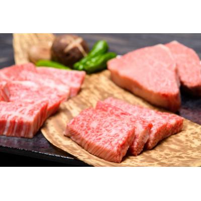 ふるさと納税 田川市 博多和牛焼肉セット 500g(田川市)