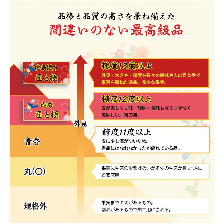 お歳暮 みかん 紅まどんな 青秀 4L〜Lサイズ 5kg 愛媛県産 JAえひめ中央 中島選果場 ミカン 蜜柑 ギフト お取り寄せ