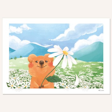 印刷裝飾畫 掛畫 無框畫【微笑袋鼠】
