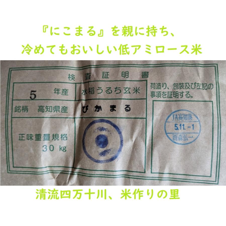 令和５年”高知県産四万十厳選特別栽培米ぴかまる” 玄米 5kg