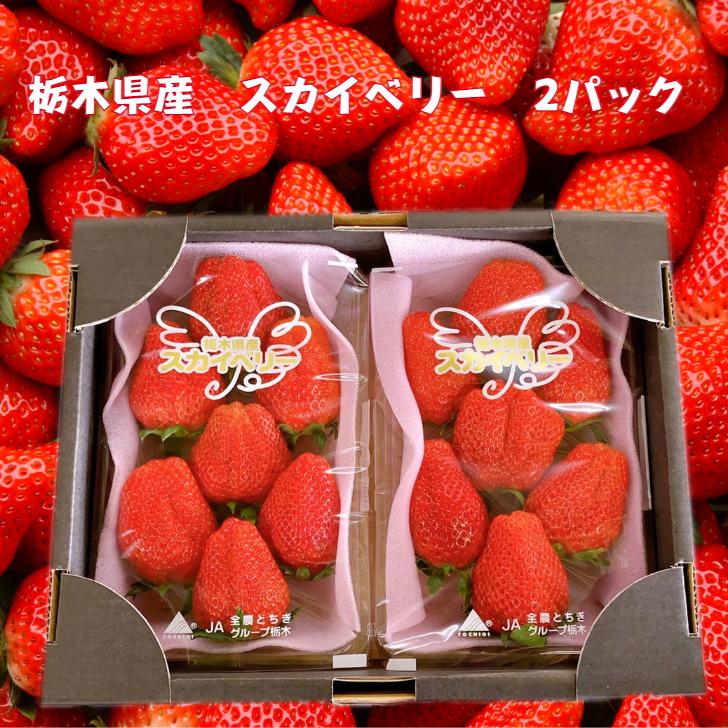 イチゴ いちご スカイベリー 配送日時指定不可 栃木県産 ２パックセット  熨斗対応 クール送料無料 冷蔵便 スカイ2P