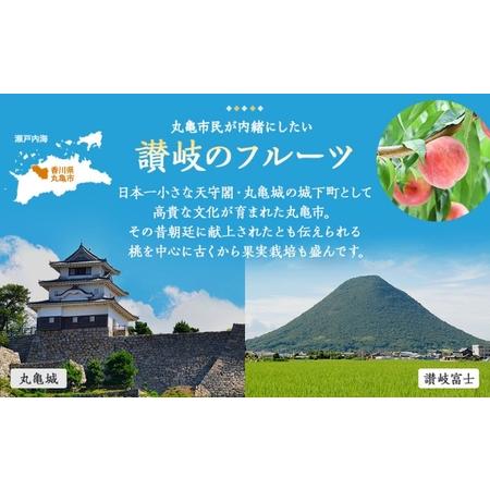 ふるさと納税 フルーツ定期便 丸亀讃美果 計6回定期便／ 果実 果物 旬 定期配送 シャインマスカット 桃 みかん いちご ピオーネ ぶどう　詰め合.. 香川県丸亀市