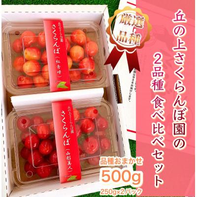 ふるさと納税 豊丘村 丘の上さくらんぼ園の「さくらんぼ食べ比べセット」500g　2024年6月より順次発送