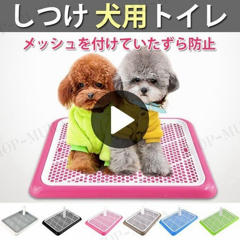 しつけ 犬用トイレ ペット トイレ トレーニングトイレ 小型犬 室内犬 犬用 イヌ ペット用品 しつけ用ステップトレー トイレ用品 通販 Lineポイント最大get Lineショッピング