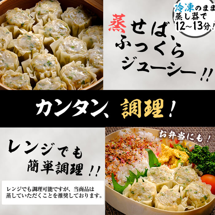 鹿児島県志布志市産黒豚使用 南国熊曽黒豚五目シュウマイ 計40個(10個x4パック) a2-031