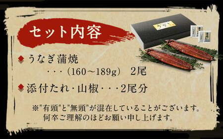 九州産 うなぎ 蒲焼 大 2尾 (1尾あたり160～189g)