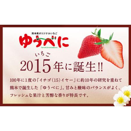 ふるさと納税  熊本産 ゆうべに 250g×10パック 計2.5kg いちご イチゴ 苺 熊本県熊本市