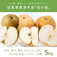今が食べ頃 特栽 愛宕梨5kgフルーツ 果物 ギフト