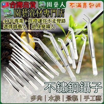 【促銷🔥賠本賣】夾子 多肉植物 鑷子 不鏽鋼鑷子 多肉鑷子 長鑷子 水族 昆蟲 工具 模型鑷子 水草夾 植物夾 餵食夾