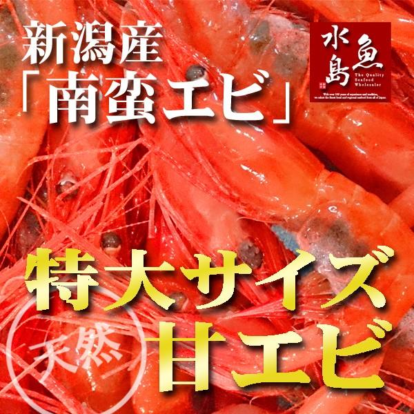 新潟産 甘エビ「南蛮エビ」鮮度抜群・刺身用 極上特大サイズ1kg（冷凍）