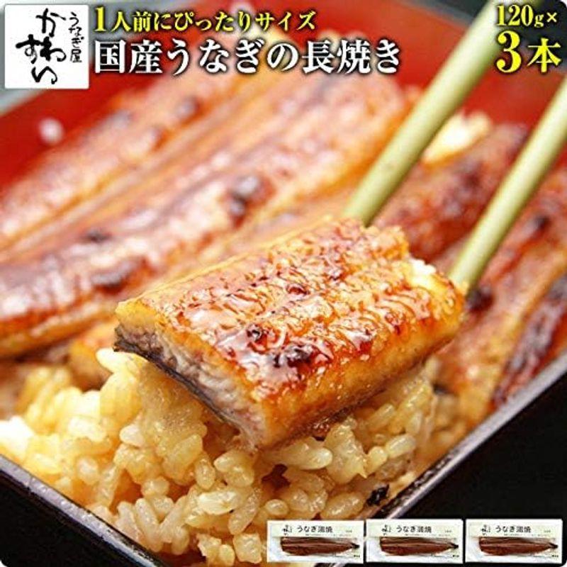 うなぎ屋かわすい 国産うなぎの蒲焼き（120g）3尾セット