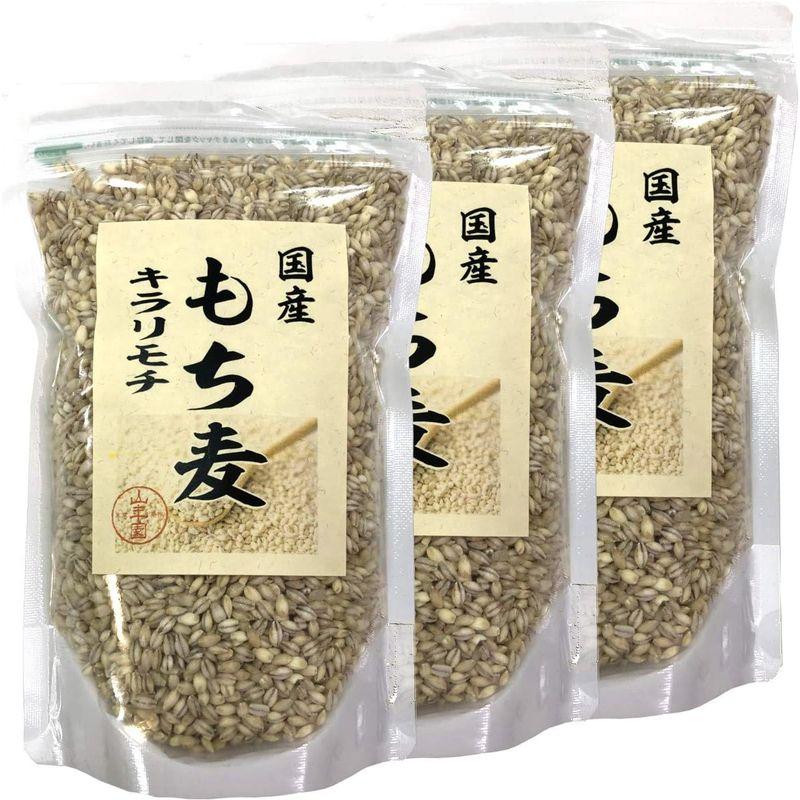 国産もち麦 キラリモチ 500g×3袋セット 巣鴨のお茶屋さん 山年園