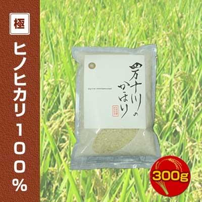 新米 令和5年度産　ヒノヒカリ100%　300g　四万十川のかほり　仁井田米極みシリーズ