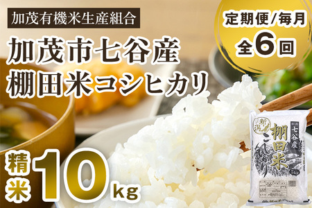 新潟県加茂市 七谷産 棚田米コシヒカリ 精米10kg（5kg×2）白米 加茂有機米生産組合 定期便 定期購入 定期 コシヒカリ 新潟県産コシヒカリ 米 お米