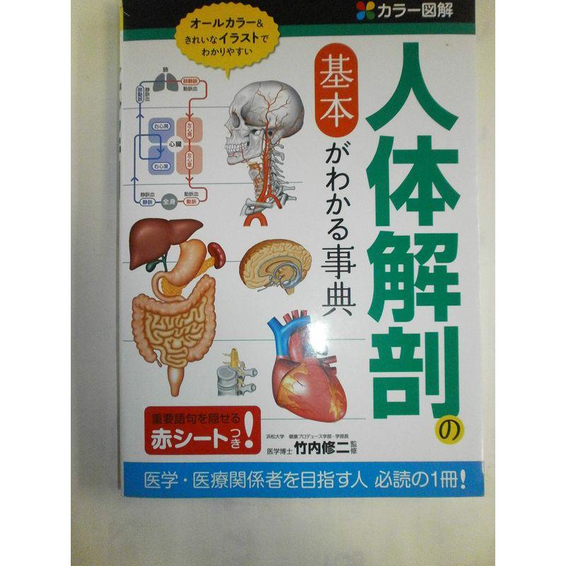 カラー図解 人体解剖の基本がわかる事典