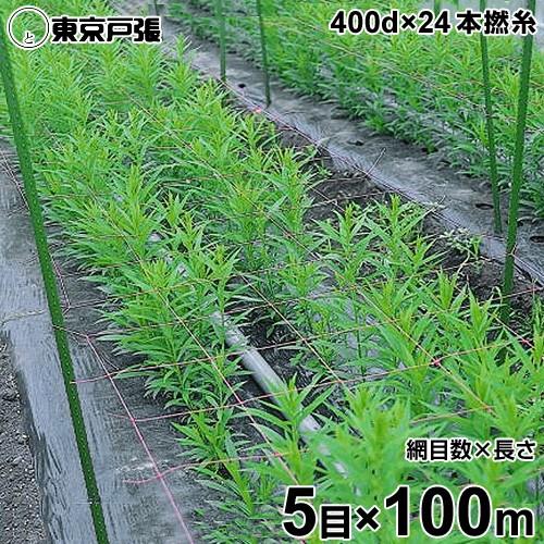 フラワーネット 400d 8目x長さ100m