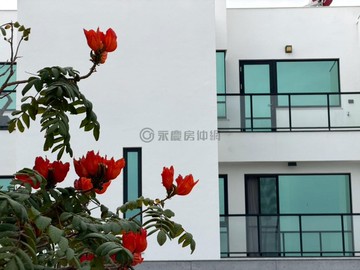 東區太子建設文化會館稀有四房平車｜台南市東區文化路