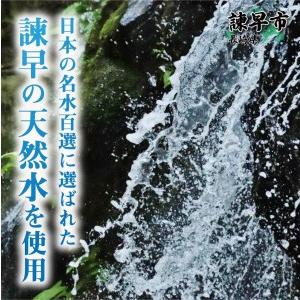 ふるさと納税 うなぎ蒲焼6尾＆白焼き4尾セット 長崎県諫早市