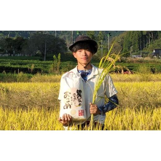 ふるさと納税 茨城県 大子町 奥久慈 大子産米 令和５年産米 コシヒカリ （白米）5kg 茨城県 大子町 米 こしひかり[No.5799-0700]