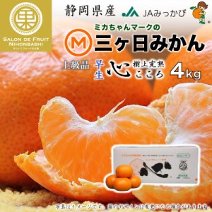 [予約 2023年 11月15日-12月15日の納品] 三ケ日みかん 樹上完熟 心 こころ 約 4kg 静岡県産 上級品 早生みかん JAみっかび 早生　 冬ギフ