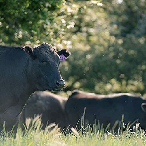 お歳暮 希少部位 国産牛 上ミスジ スライス すき焼き 肉 1kg (５〜６人前) ミスジ すきやき しゃぶしゃぶ 牛肉 ギフト