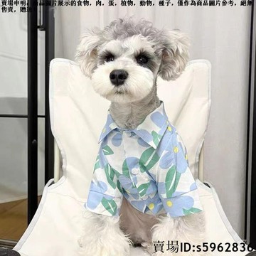 【台灣免運】狗狗寵物衣服小型犬夏季雪納瑞泰迪比熊博美薄款襯衫狗狗清新衣服 寵物夏季服飾 寵物衣服 狗狗衣服 貓咪衣服