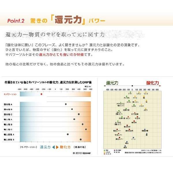 キパワーソルト ６袋セット