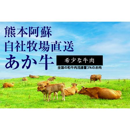 ふるさと納税 あか牛 ロース ステーキ たれ付き セット 200g×2枚 合計400g ＜あか牛のたれ200ml付き＞ 熊本県産あか牛 あか牛 あか牛ロー.. 熊本県多良木町