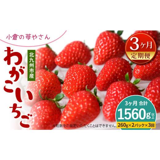 ふるさと納税 福岡県 北九州市 小倉の苺やさん「わがこいちご」 260g×2パック×3回