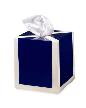 Ink Blue & Bone Tissue Box