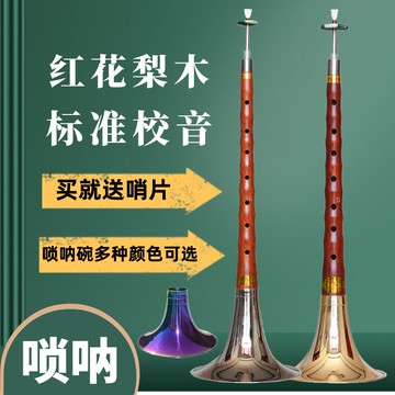 樂器嗩吶 嗩吶樂器 全套高檔紅花梨木dc降B調紅白喜事初學大中小號燕京喇叭 全館免運
