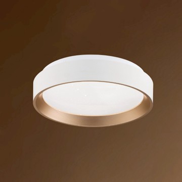 16W 三色變光吸頂燈 B102-13-64826