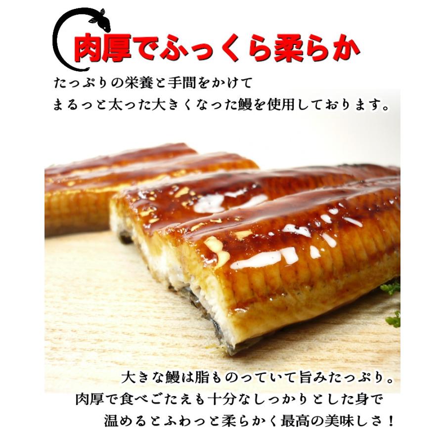 うなぎ 蒲焼き　250gの特大サイズ  ウナギ うなぎ ギフト　２尾購入で１尾おまけ付き　送料無料・うなぎ蒲焼・