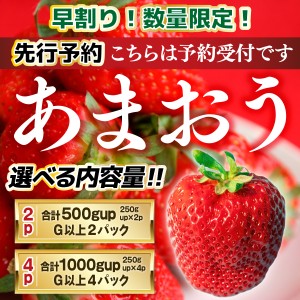 あまおう いちご 500g-1000g 福岡県産 イチゴ 送料無料 秀品 ギフト 贈り物 プレゼント お祝い 果物 フルーツ 先行予約