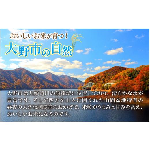 ふるさと納税 福井県 大野市 こだわりの米！弱アルカリ性のピロール米 こしひかり 玄米 5kg [A-009002]