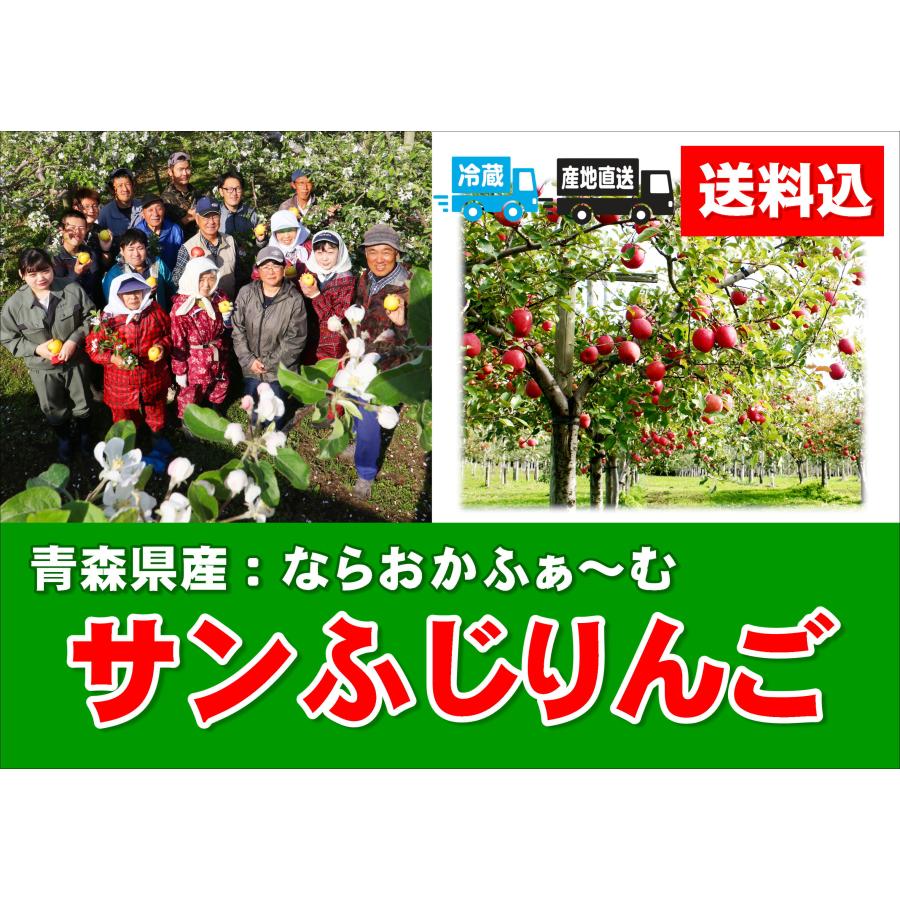 産直品 B-2 青森県産：ならおかふぁ〜む サンふじりんご　約5kg・1箱（14〜16玉入）