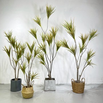 大型仿真植物造景家居軟裝假綠植盆栽巴西鐵千年木龍血樹櫥窗裝飾